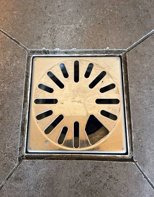 Kikkerproof